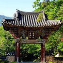 피아골농장펜션 | 지리산 달궁계곡과 뱀사골에서 알찬 피서하기