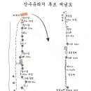 산수유 이미지