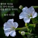 믿음