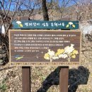 교리 3 교리3구경로당 | 운길산 수종사에 올라(20251209)