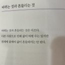 뭉구 애견 | [인천 영종도] 신축 독채 애견동반펜션 스테이뭉구
