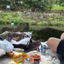 솜반내(솜반천) 이미지