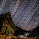 하늘달팽이 이미지