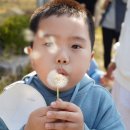 증산초교병설유치원 이미지