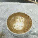 홈바리스타야간 이미지