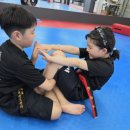 국가대표목동태권도센터 이미지