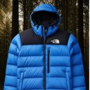 골드원코리아 이미지