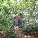 표교초교 이미지