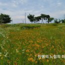 신왕제 이미지