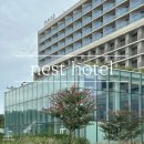쿤스트베이커리카페 | [인천] 네스트호텔 Nest Hotel ❤️ 1 | 태교여행 호캉스 (feat. 쿤스트라운지 소금빵)