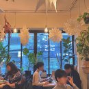 서울비건