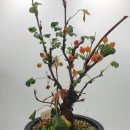 달림농장 이미지