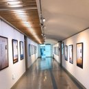 고양시청 이미지