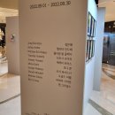 정직유부 일광점 | [8월 마지막주+9월 1주차] 무사히 돌아왔지만 후폭풍 시작해버린