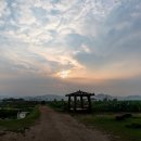 연근농장 이미지