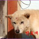 성웅 이미지