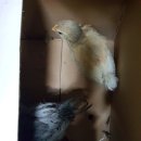 청계유통 이미지