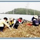 대화초 개수분교장 이미지