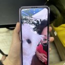 바름뒷고기 이미지