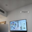 엘리트푸른학원 | [도쿄여행] 펄 호텔 신주쿠아케보노바시 후기