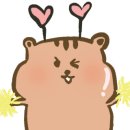 홍스비어 이미지