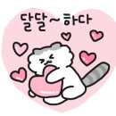 변동로 이미지