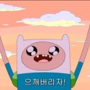 핀