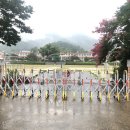 수동초등학교 이미지