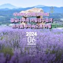 섬농원 이미지