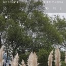 아트만특허법률사무소