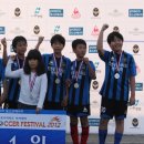 스포츠타운 인조잔디구장 이미지