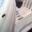 개미약국 이미지