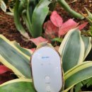 블루린 | 50대 피부 홈케어 고주파 갈바닉 마사지기 블링블링 블루린 주 사용 후기