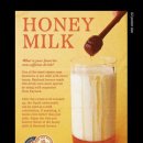 갈마애견 이미지