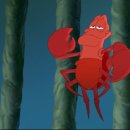 리틀 머메이드(LITTLE MERMAID)