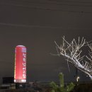 대구맛집(철뚝너머그집) 이미지