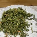 숲마을 식당 이미지