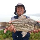 연일 초등학교 이미지