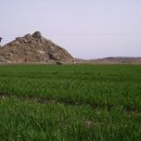 밀밭농장 이미지