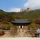 우금 문화일보
