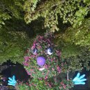 배울2로(유성-27) | 유성국화축제 관람 후기: 포토존 개화현황 야경명소 푸드트럭 메뉴