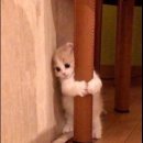 형님저예요 이미지