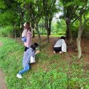 (초등)과학실험 이미지