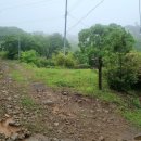 조광택시 이미지