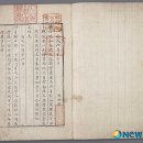 그늘과 빛의 기억 이미지