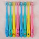 노아덴탈 이미지