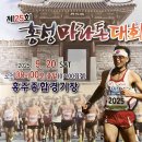 완주 | 홍성 이봉주 마라톤 하프(21km) 완주 후기