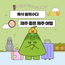 똑순이떡갈비 | 제주도 볼거리 와흘 메밀문화제와 이효리도 다녀간 맛집 장수촌