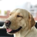 안중온누리약국 이미지