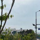 노다지공인중개사사무소 | 평택고덕, 고덕신도시 장사 잘되는 상가 임대는 소나무 부동산 연락주세요!